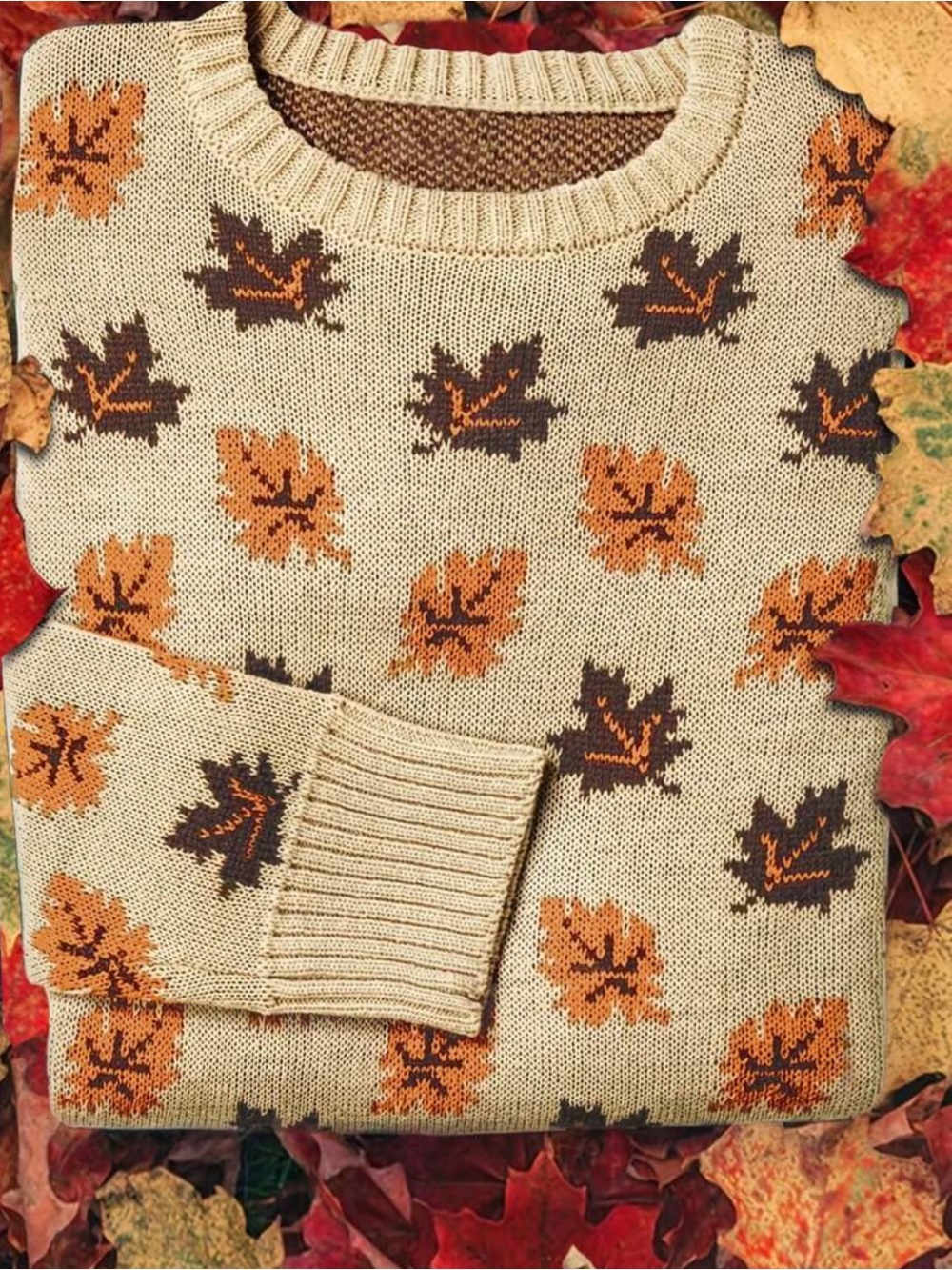 SOFT 🍂 Autumn Leaves Cream Sweater